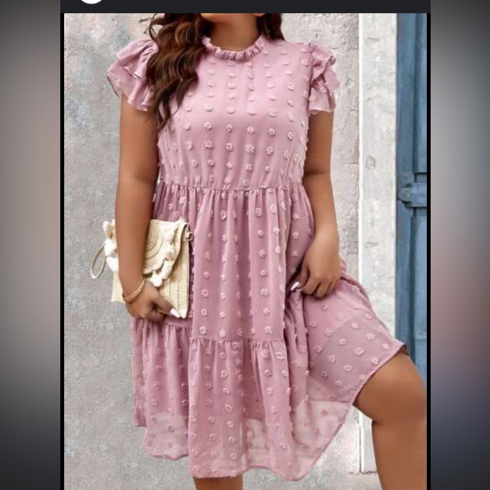 Entro Pink Textured Ruffle Dress Swiss dot size medium